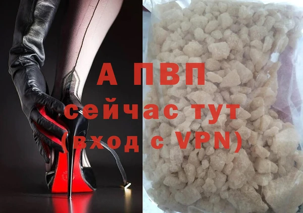 ГАЛЛЮЦИНОГЕННЫЕ ГРИБЫ Магас