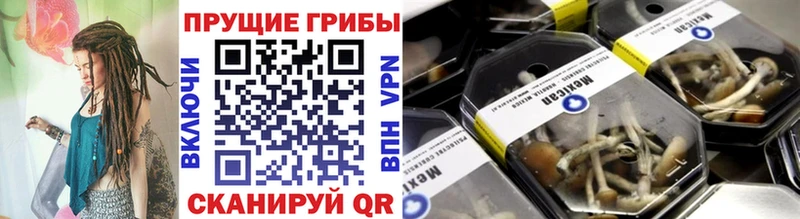 где продают наркотики  Фокино  Псилоцибиновые грибы Cubensis 